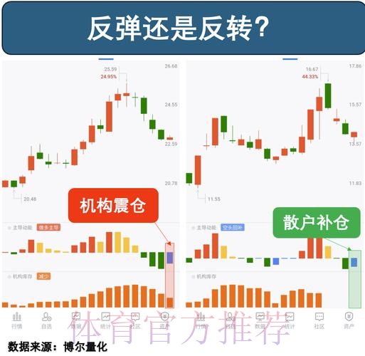 全面解析世界杯盘口走势变化与策略